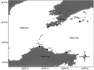 Genetic structure and local adaptation of Neptunea cumingii crosse populations in China based on GBS technology